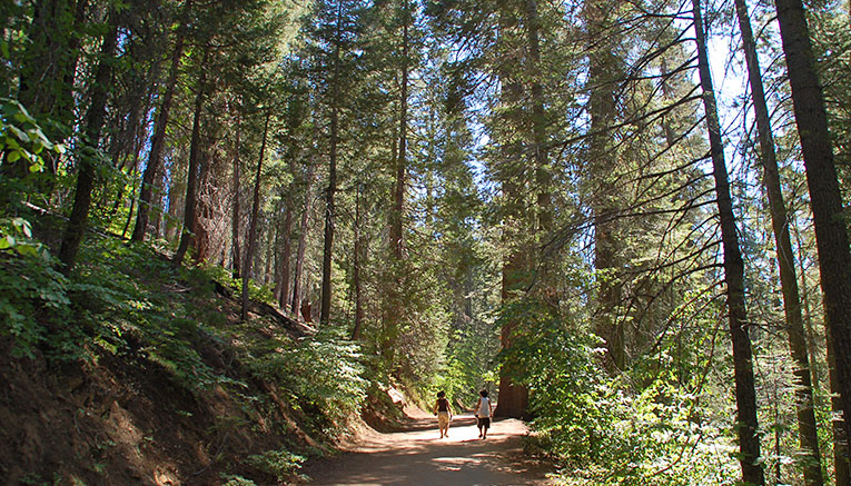 Wyoi-yosemite-walking-9